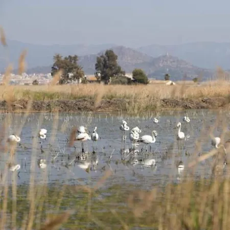 Almenara